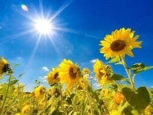 脂性肌の毛穴ケアと洗顔