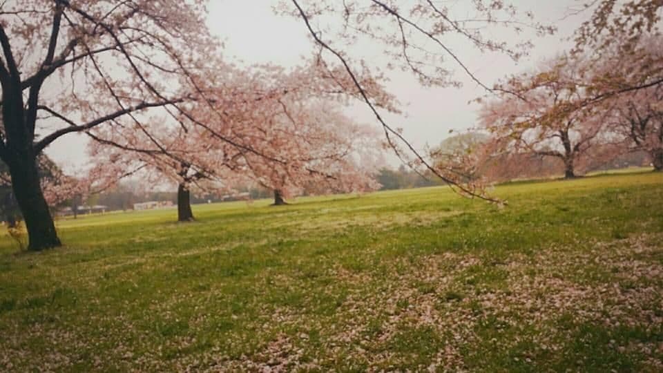 季節の変わり目の乾燥とお肌ケア